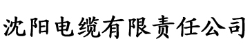 欧美日韩国产中文精品字幕自在自线电缆厂logo